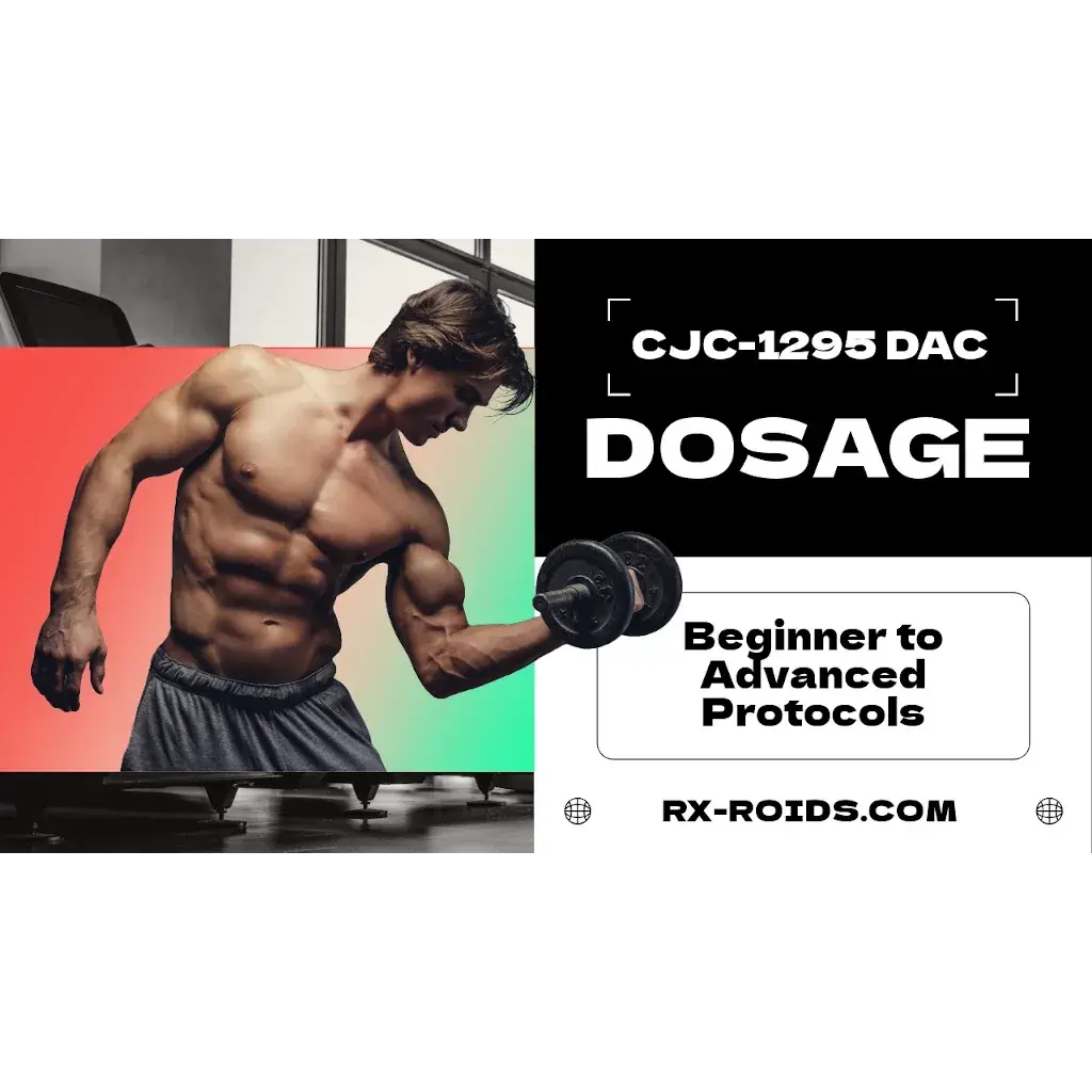 CJC-1295 Dac Dosage Per Day: Beginner to Advanced Protocols